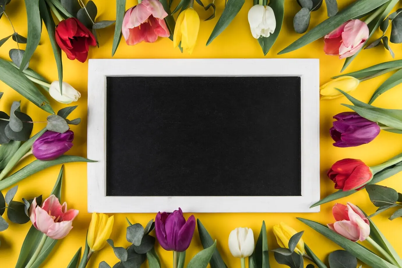 Schwarzer Rahmen mit weißer Umrandung, umgeben von farbenfrohen Tulpen.